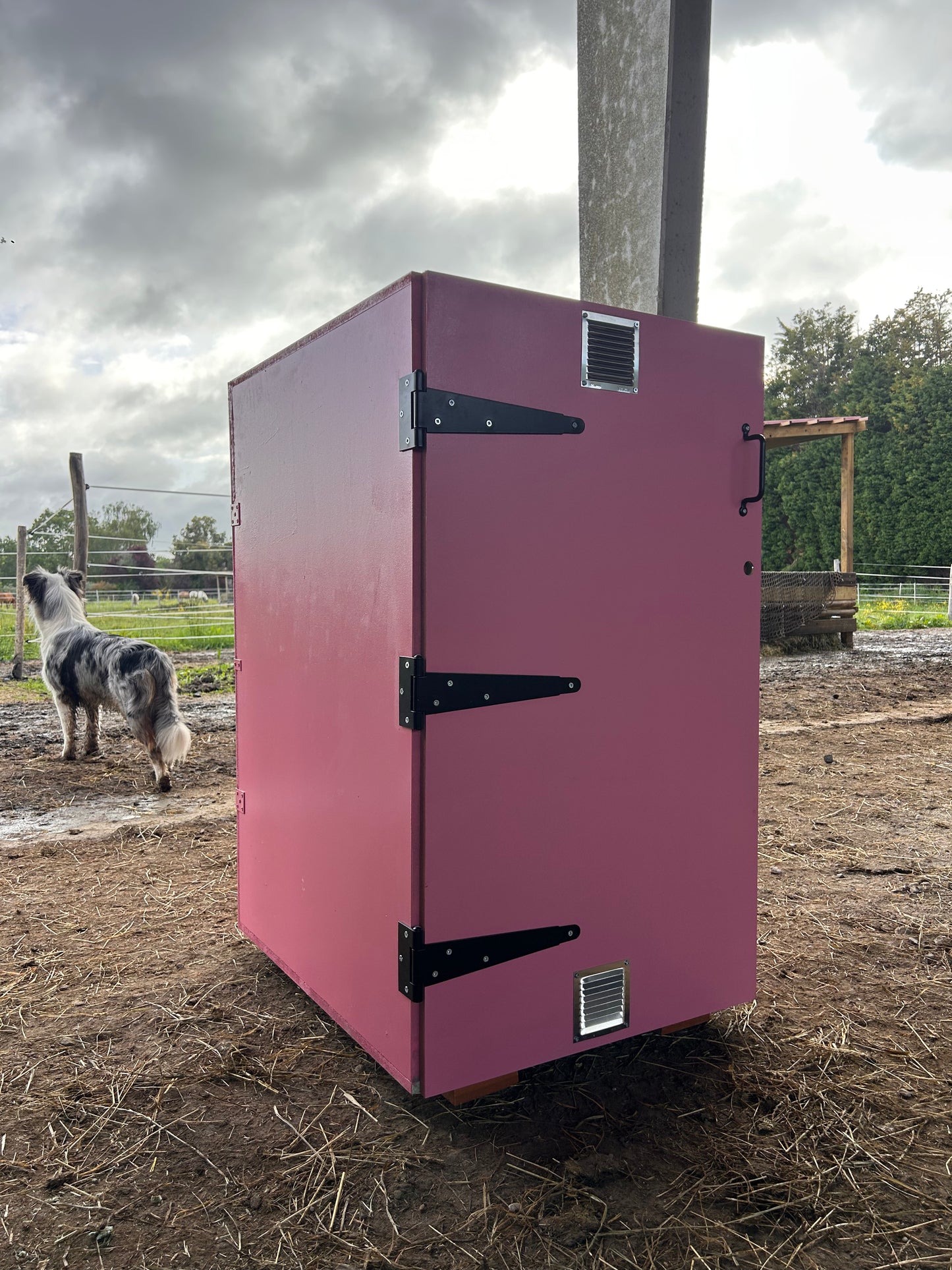 L'Essentiel - casier de sellerie équestre en bois